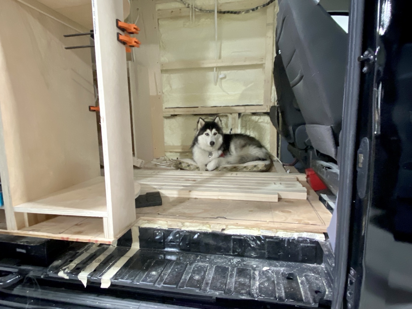 A husky lying on the van floor between new cabinet frames